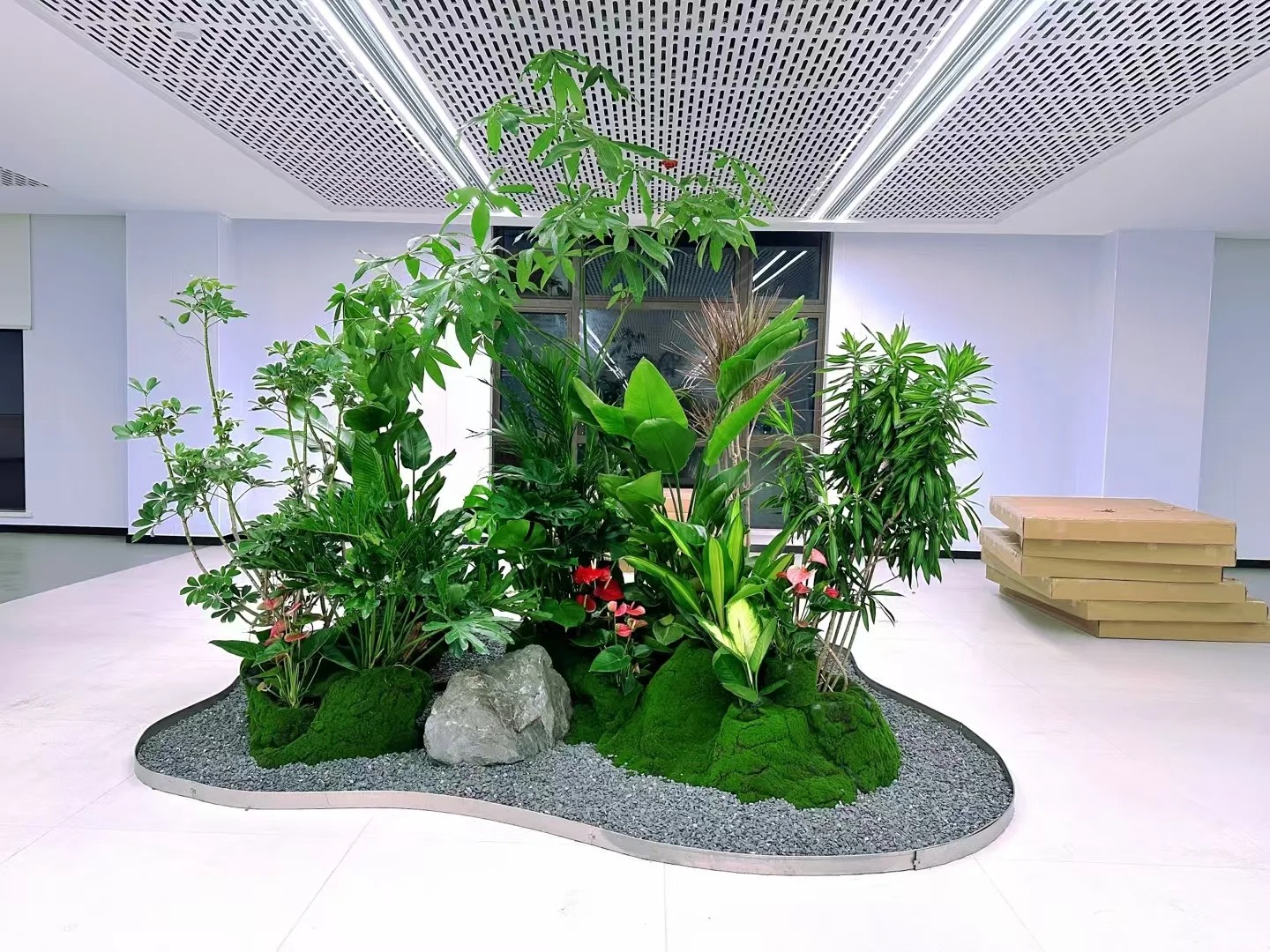 专业植物出租，宁波杭州湾的绿色空间缔造者