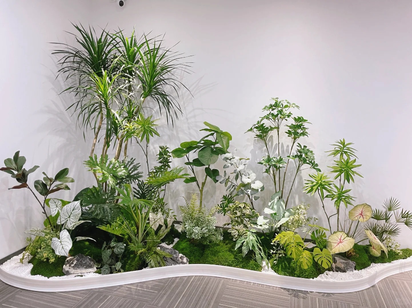 专业植物出租，宁波杭州湾的绿色空间缔造者